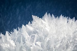 Abbildung: Eiskristalle im Winter