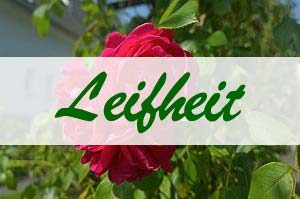 Leifheit
